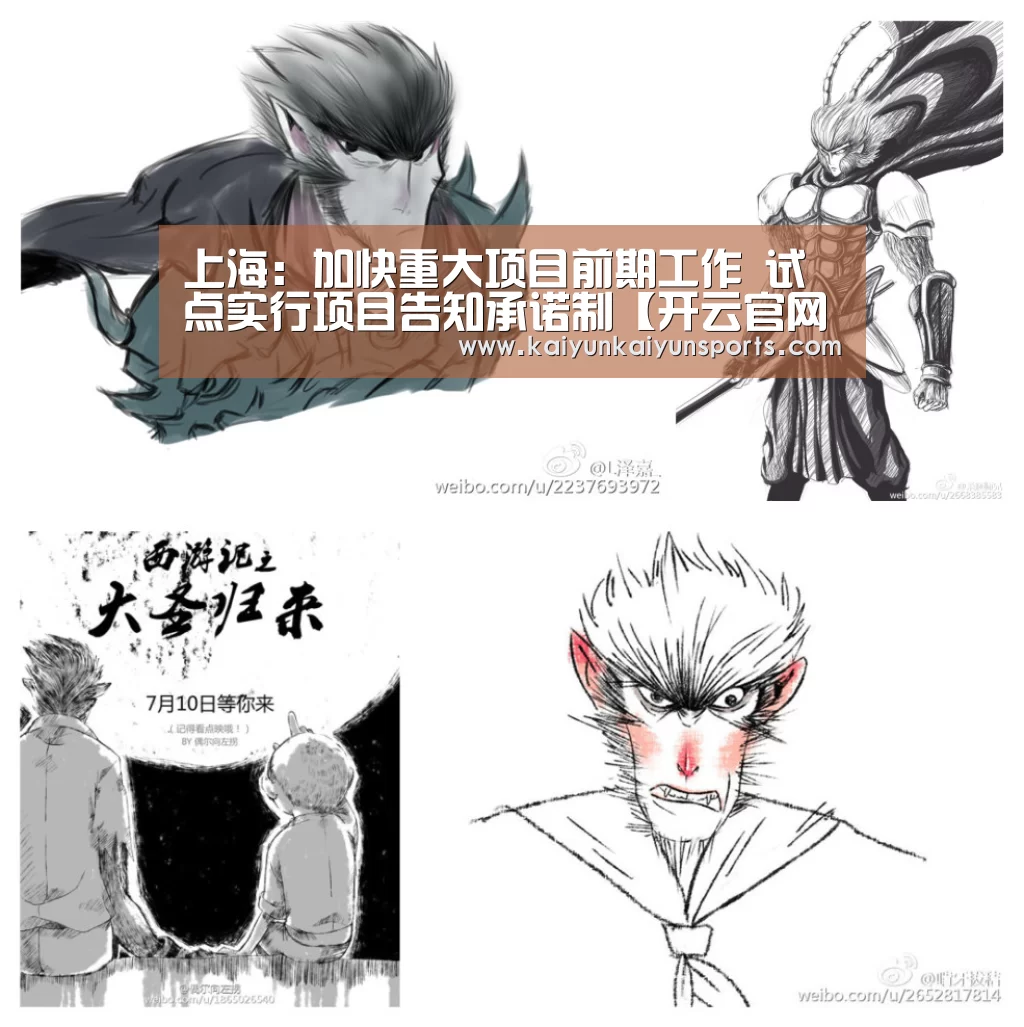 开云官网登录入口