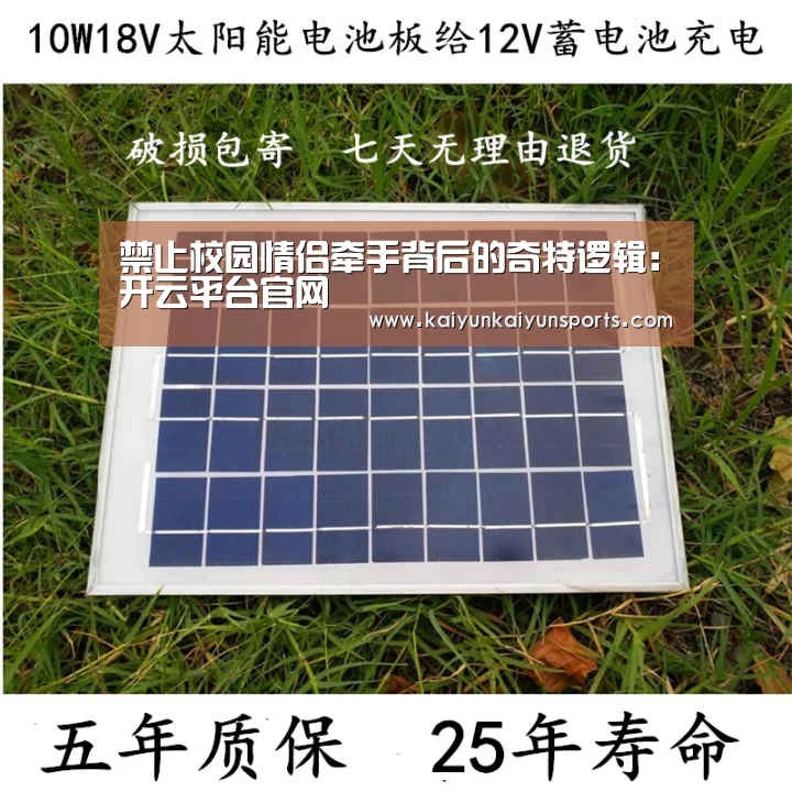 禁止校园情侣牵手背后的奇特逻辑：开云平台官网(图3)