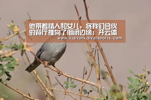 开云官网登录入口